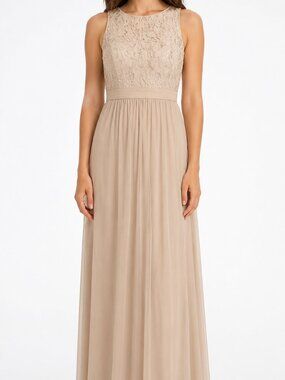 Adrianna Papell Champagne Nude Formal Gown with Lace Bodice and Chiffon Skirt 6